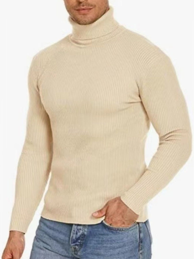 Men's Plus Size Ribbed Turtleneck Long Sleeve Sweater 3