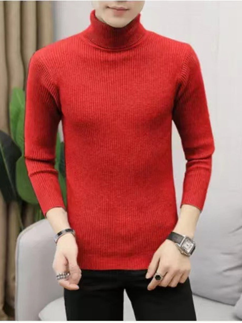 Men's Plus Size Ribbed Turtleneck Long Sleeve Sweater 13