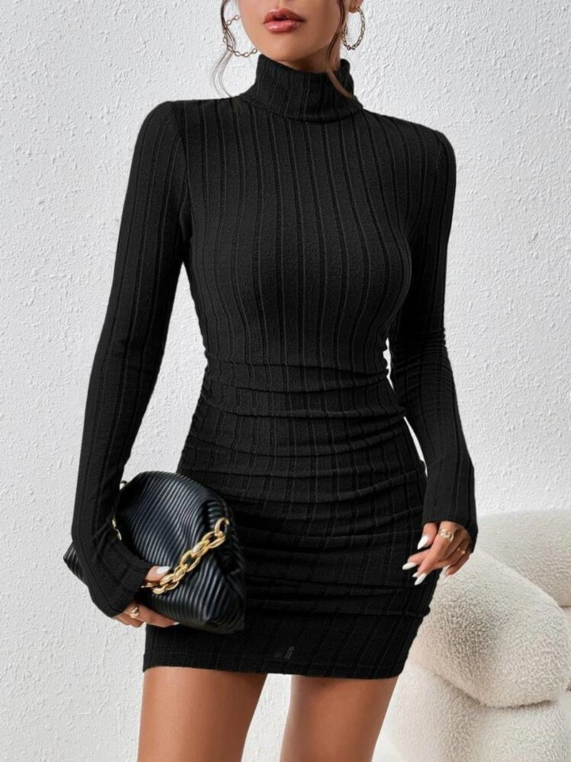 Turtleneck Ribbed Bodycon Mini Dress 2